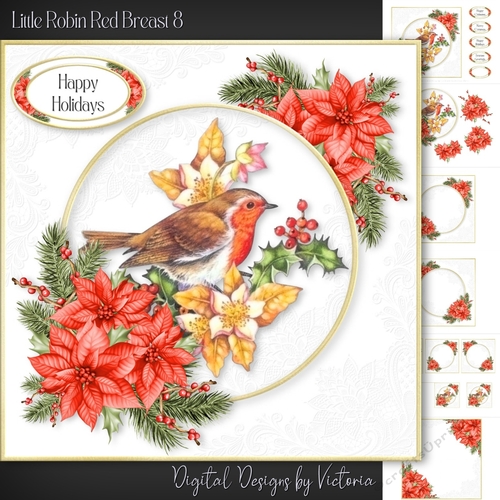 Little Robin Red Breast 8