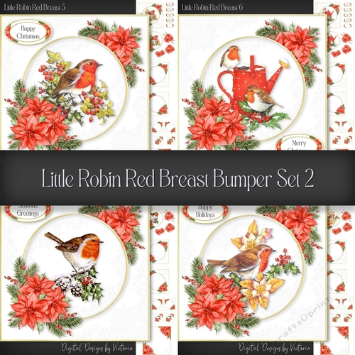 Little Robin Red Breast Bumper Set 2