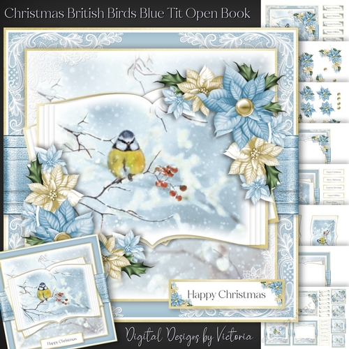 Christmas British Birds Blue Tit Open Book
