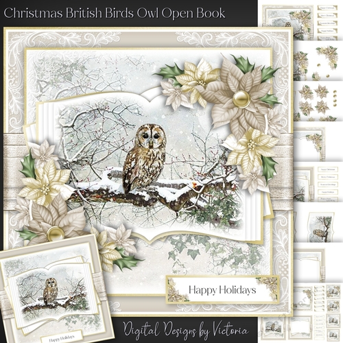 Christmas British Birds Owl Open Book