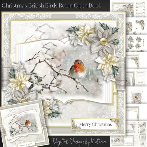 Christmas British Birds Robin Open Book