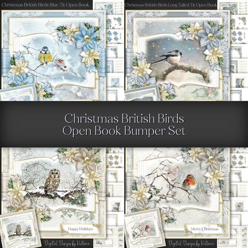 Christmas British Birds Open Book Bumper Set