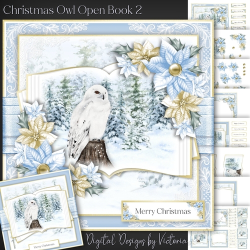 Christmas Owl Open Book 2