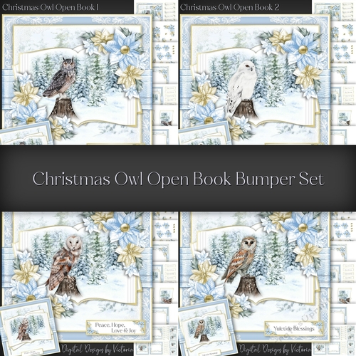 Christmas Owl Open Book Bumper Set