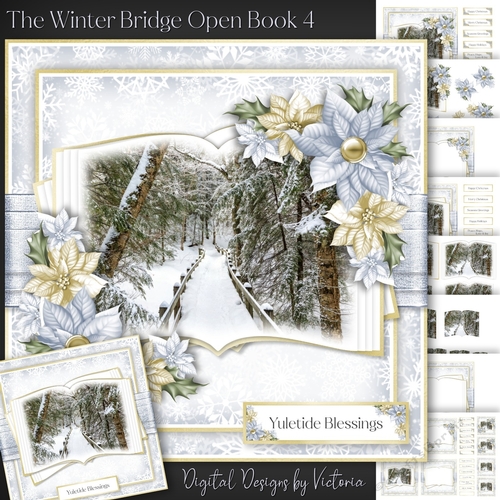 The Winter Bridge Open Book 4