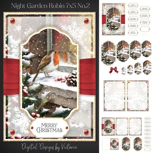 Night Garden Robin 7x5 No.2