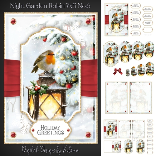Night Garden Robin 7x5 No.6