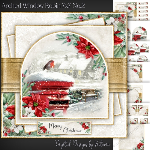Arched Window Robin 7x7 inch No.2