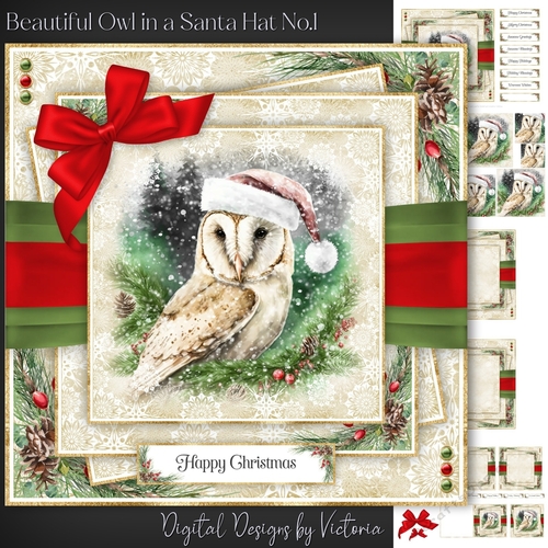 Beautiful Owl in a Santa Hat No.1
