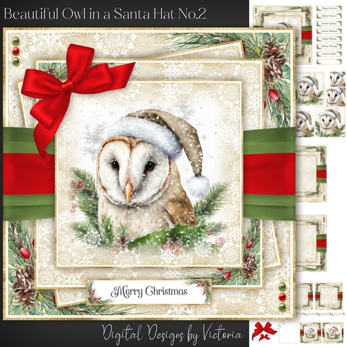 Beautiful Owl in a Santa Hat No.2