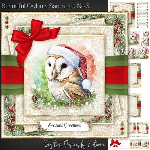 Beautiful Owl in a Santa Hat No.3