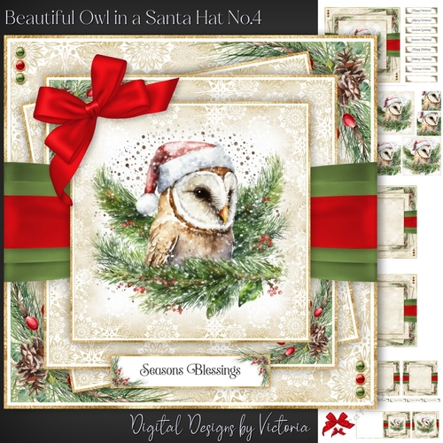 Beautiful Owl in a Santa Hat No.4