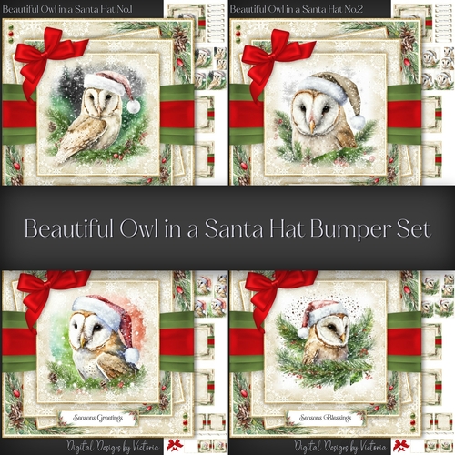 Beautiful Owl in a Santa Hat Bumper Set