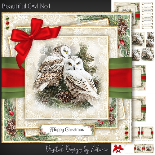 Beautiful Owl No.1