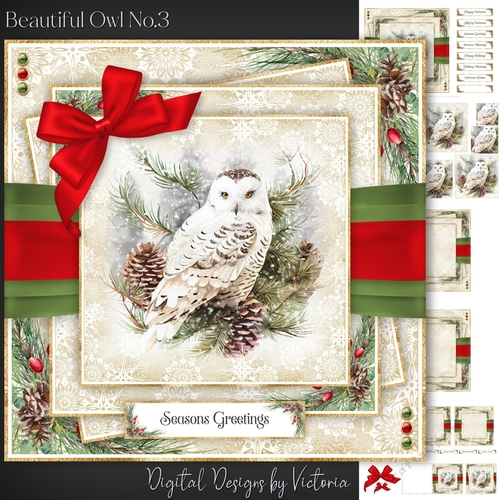 Beautiful Owl No.3