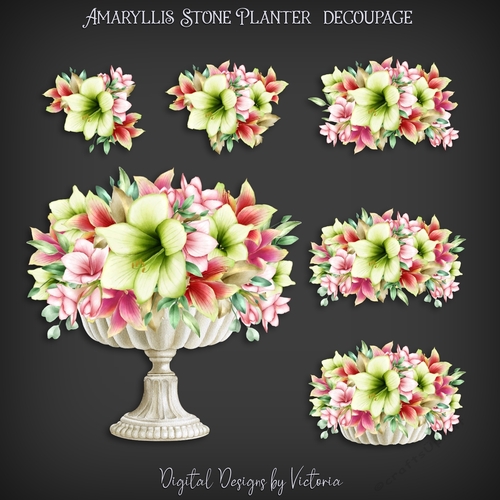 Amaryllis Stone Planter Decoupage