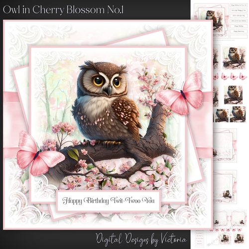Owl in Cherry Blossom No.1