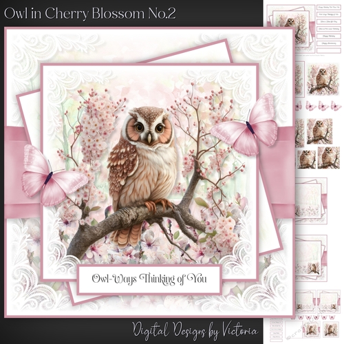 Owl in Cherry Blossom No.2