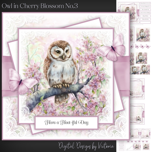 Owl in Cherry Blossom No.3