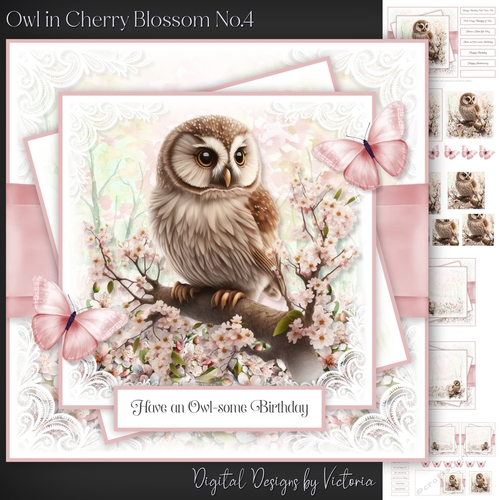 Owl in Cherry Blossom No.4