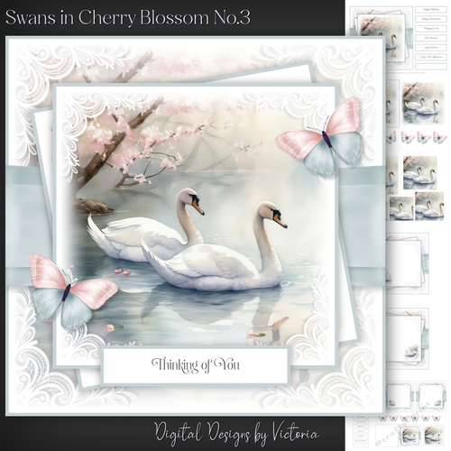 Swans in Cherry Blossom No.3