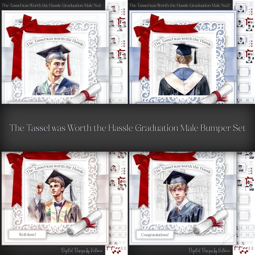 The Tassel was Worth the Hassle Graduation Male Bumper Set