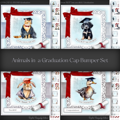 Animals in a Graduation Cap Bumper Set