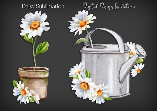 Daisy Sublimation