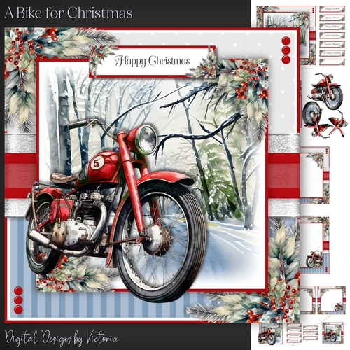 A Bike for Christmas