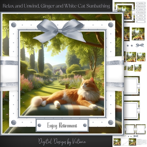 Relax and Unwind, Ginger and White Cat Sunbathing