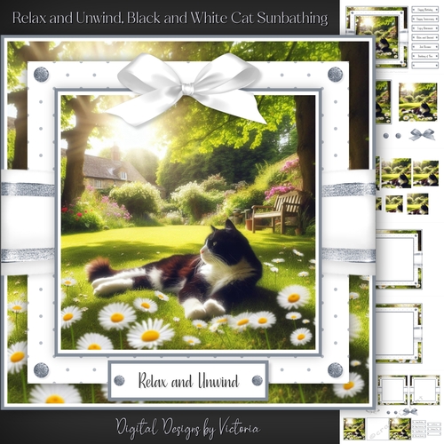 Relax and Unwind, Black and White Cat Sunbathing