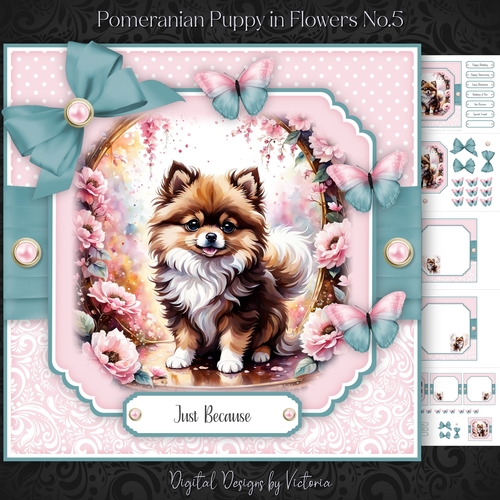 Pomeranian Puppy in Flowers No.5