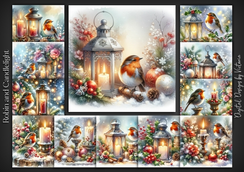 Robin and Candle Light 
