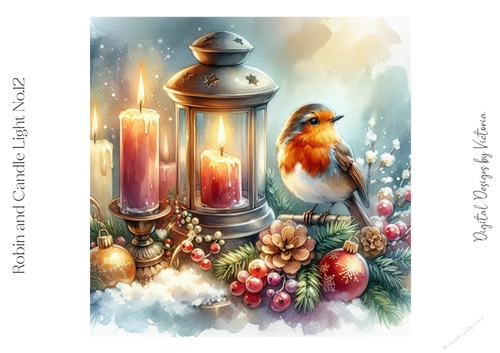Robin and Candle Light No.12