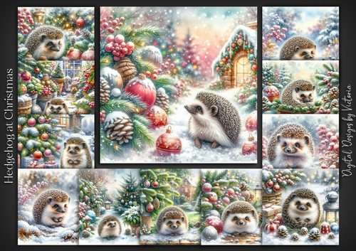 Hedgehog at Christmas