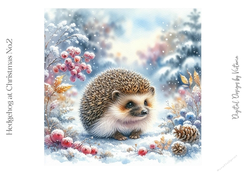 Hedgehog at Christmas No.2