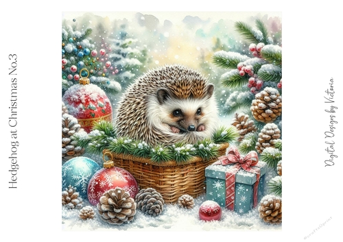 Hedgehog at Christmas No.3