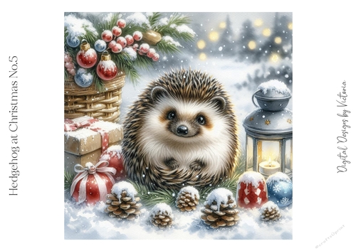 Hedgehog at Christmas No.5