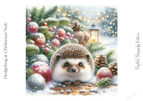 Hedgehog at Christmas No.6