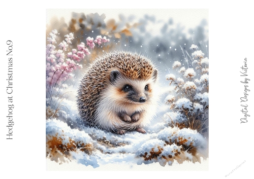 Hedgehog at Christmas No.9