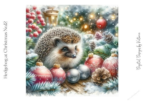 Hedgehog at Christmas No.12
