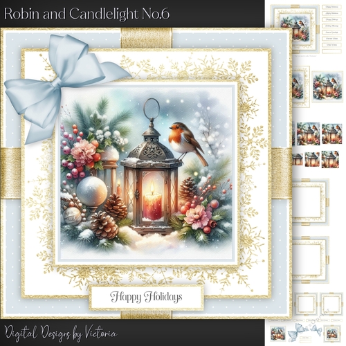 Robin and Candlelight No.6