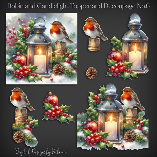 Robin and Candlelight Topper and Decoupage No.6