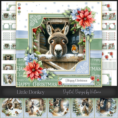 Little Donkey