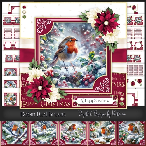 Robin Red Breast