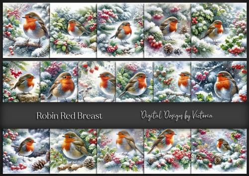 Robin Red Breast