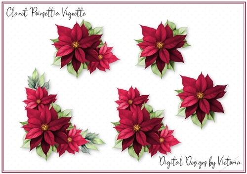 Claret Poinsettia Vignette