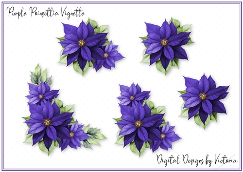 Purple Poinsettia Vignette