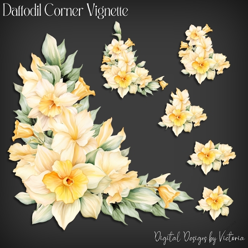 Daffodil Vignette