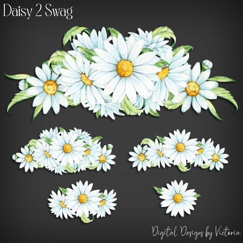 Daisy 2 Swag